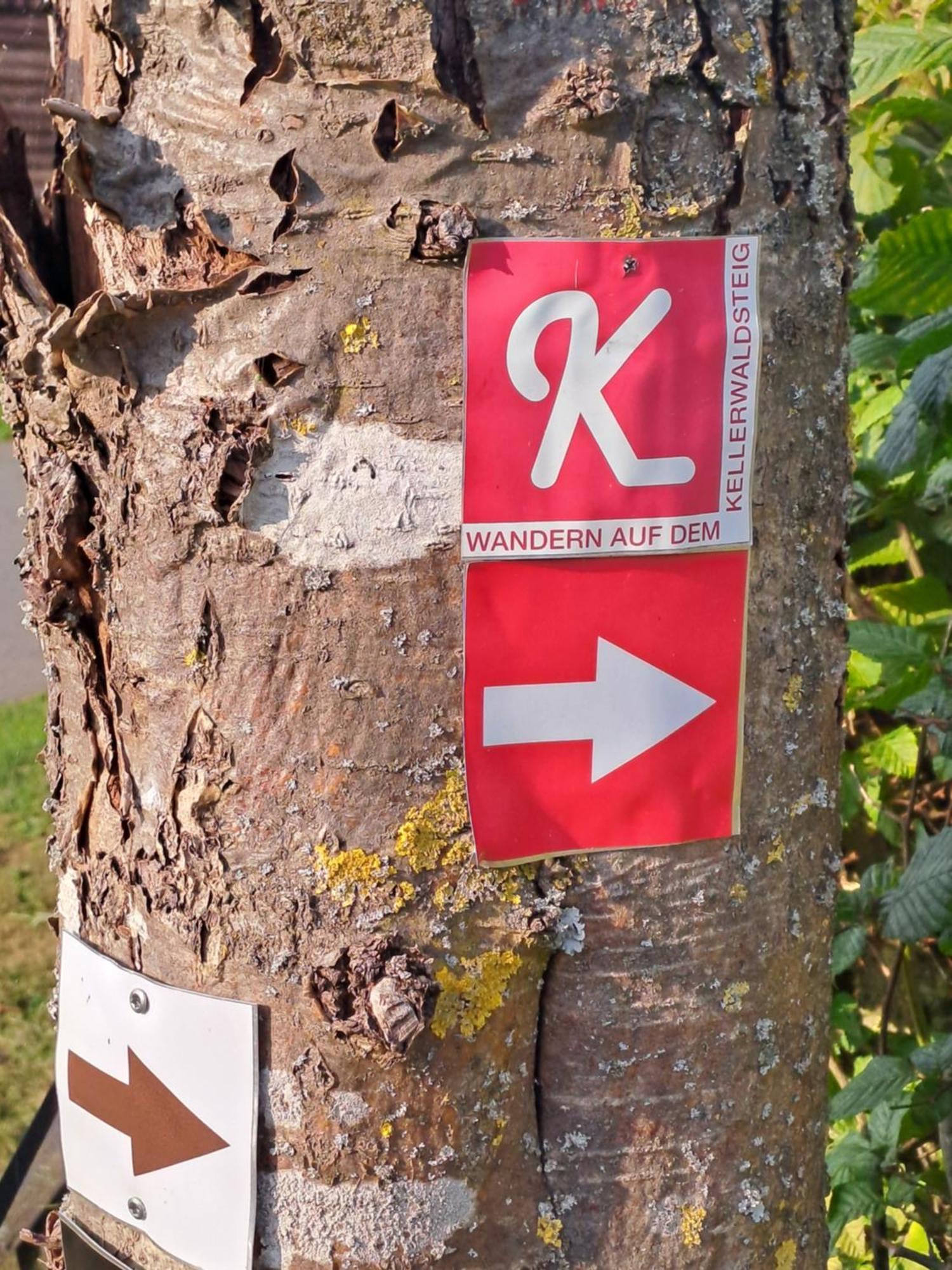 Ferienwohnung Schaefer Am Nationalpark Kellerwald Frankenau المظهر الخارجي الصورة