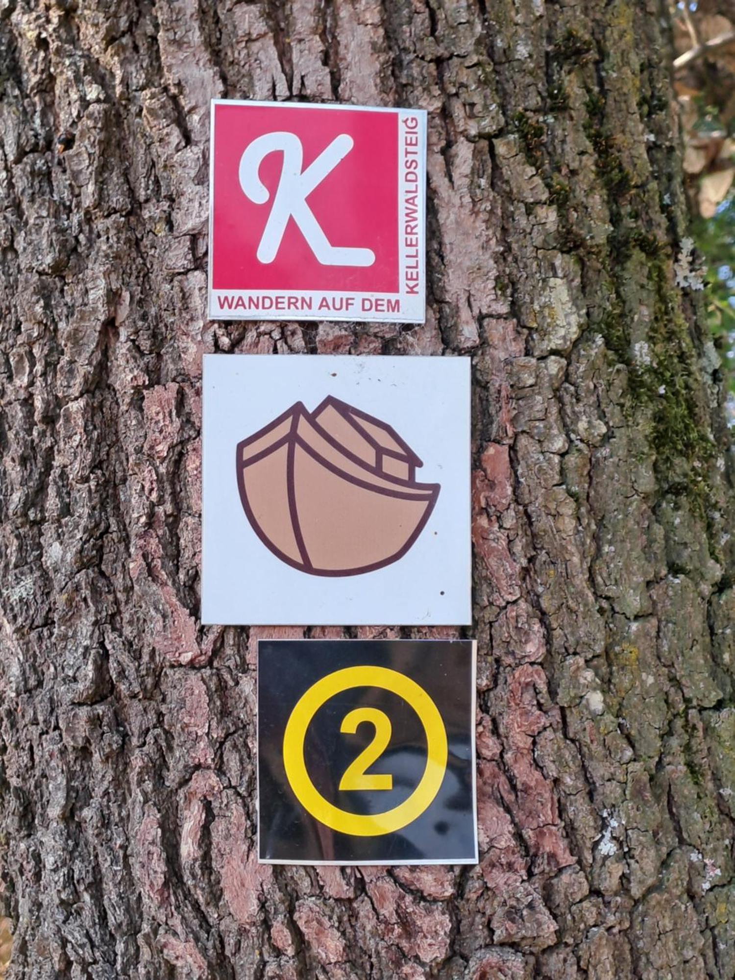 Ferienwohnung Schaefer Am Nationalpark Kellerwald Frankenau المظهر الخارجي الصورة